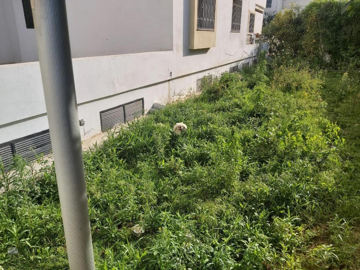 Ideal Appart Ain Zaghouan Tunis El Aouina Luaran gambar